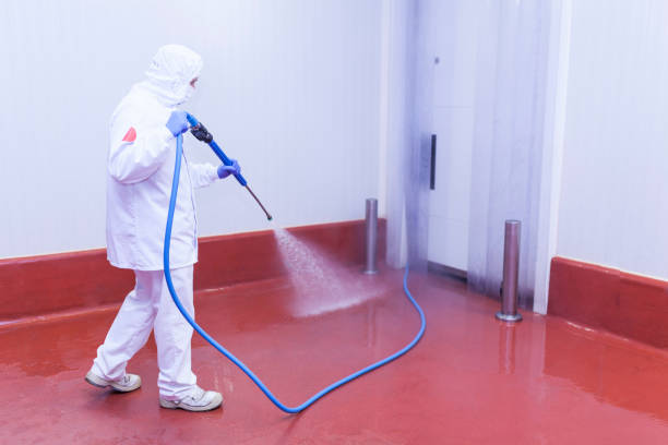 Best Oil Spill Cleanup  in Pinellas Park, FL